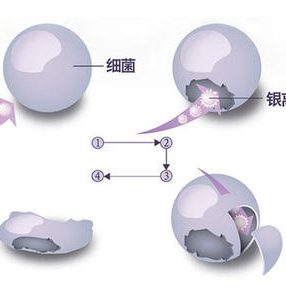 银离子抗菌标准与原理