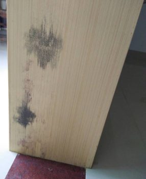 为什么原材料成品容易滋生霉菌？